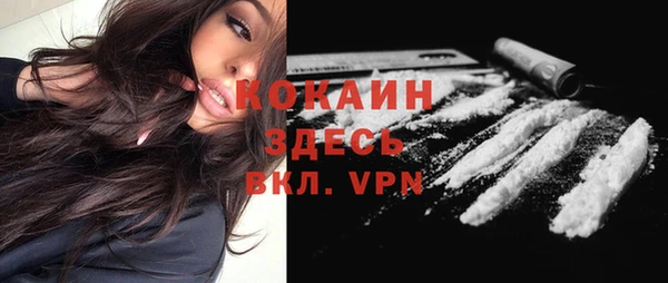 трава Инта