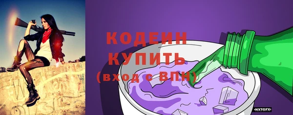 амф Каменка