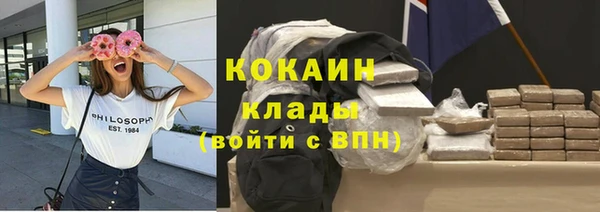 амф Каменка