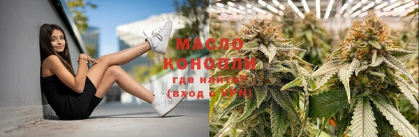 твердый Каменск-Шахтинский