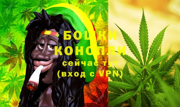 амф Каменка